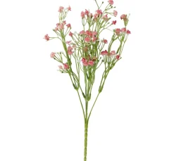 Acker-Witwenblume "Evergreen"