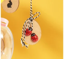 Acryl-Trenn-/Malscheibe "Ei", 3 Stück, ca.8 cm