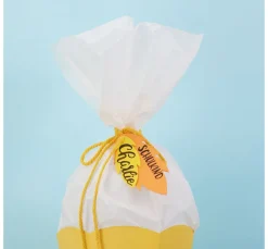 Aquarola Seidenpapier, farbfest