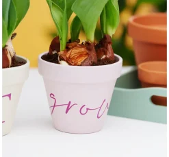 Übertragungsfolie für Vinyl Folie