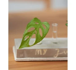 Beton-Art-Liner, 88 ml