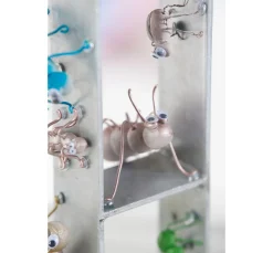 Beton-Modelliermasse, Grau