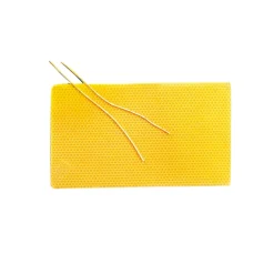 Bienenwachs-Wabenplatten, 31 x 18 cm