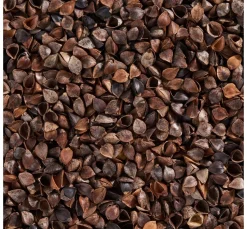 Bio-Buchweizenschalen