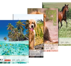 Brunnen Zeichenblock