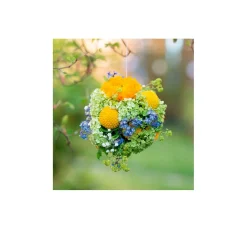 Buch "Frühlingsgefühle"