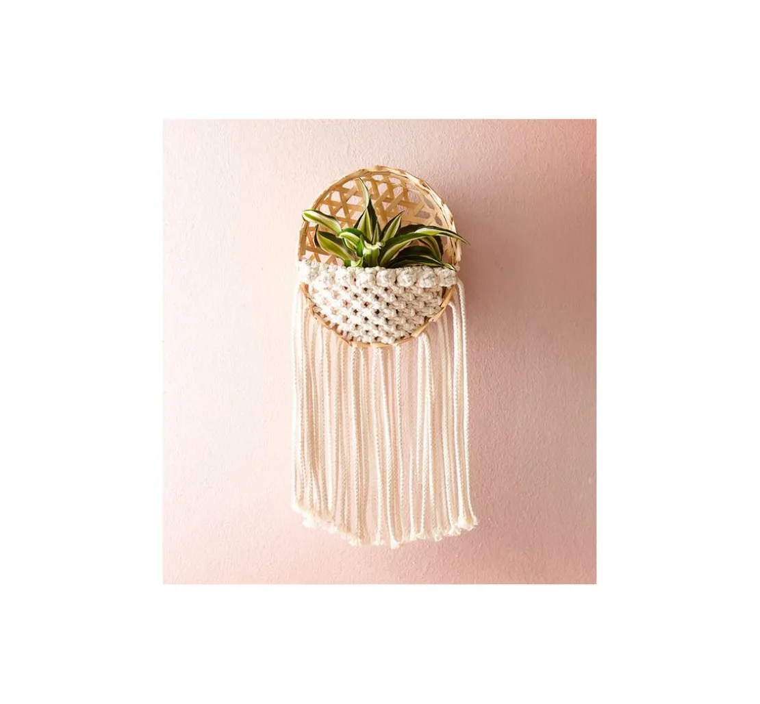 Buch "Makramee Blumenampeln (kreativ.kompakt)"