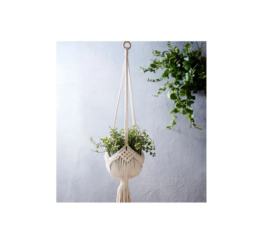 Buch "Makramee Blumenampeln (kreativ.kompakt)"