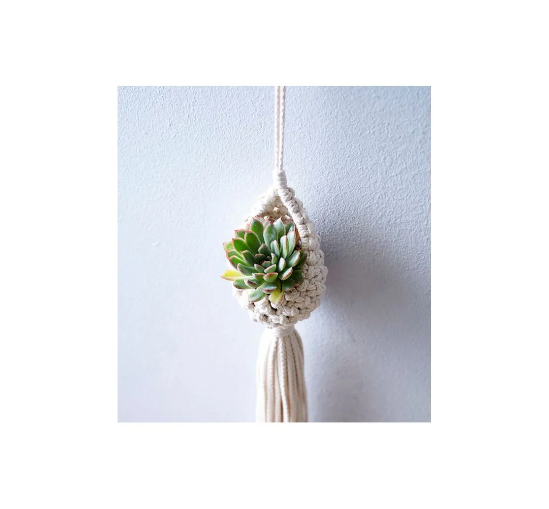 Buch "Makramee Blumenampeln (kreativ.kompakt)"