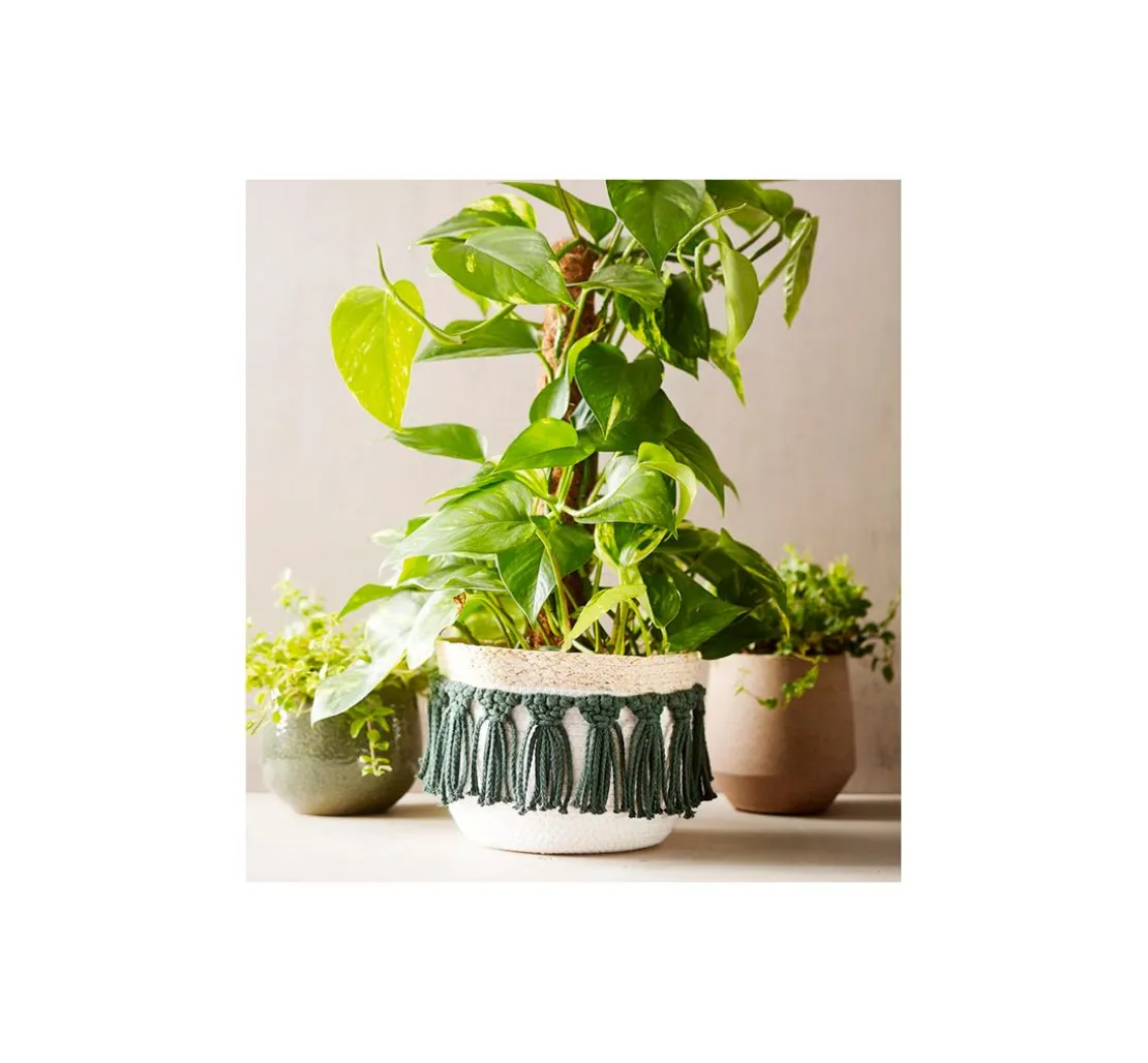 Buch "Makramee für Anfänger"