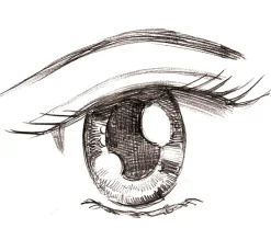 Buch "Manga Step by Step - Basiskurs"