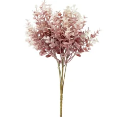 Buchsbaum Zweig "Evergreen"