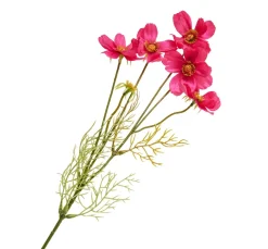 Cosmea Zweig mit 5 Blüten