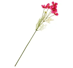 Cosmea Zweig mit 5 Blüten