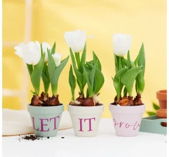 Cricut Selbstklebende Vinylfolie 