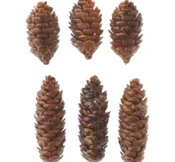 Deko Zapfen, Kunststoff, 6 Stück