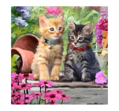 Diamond Painting "Crystal Art Card"