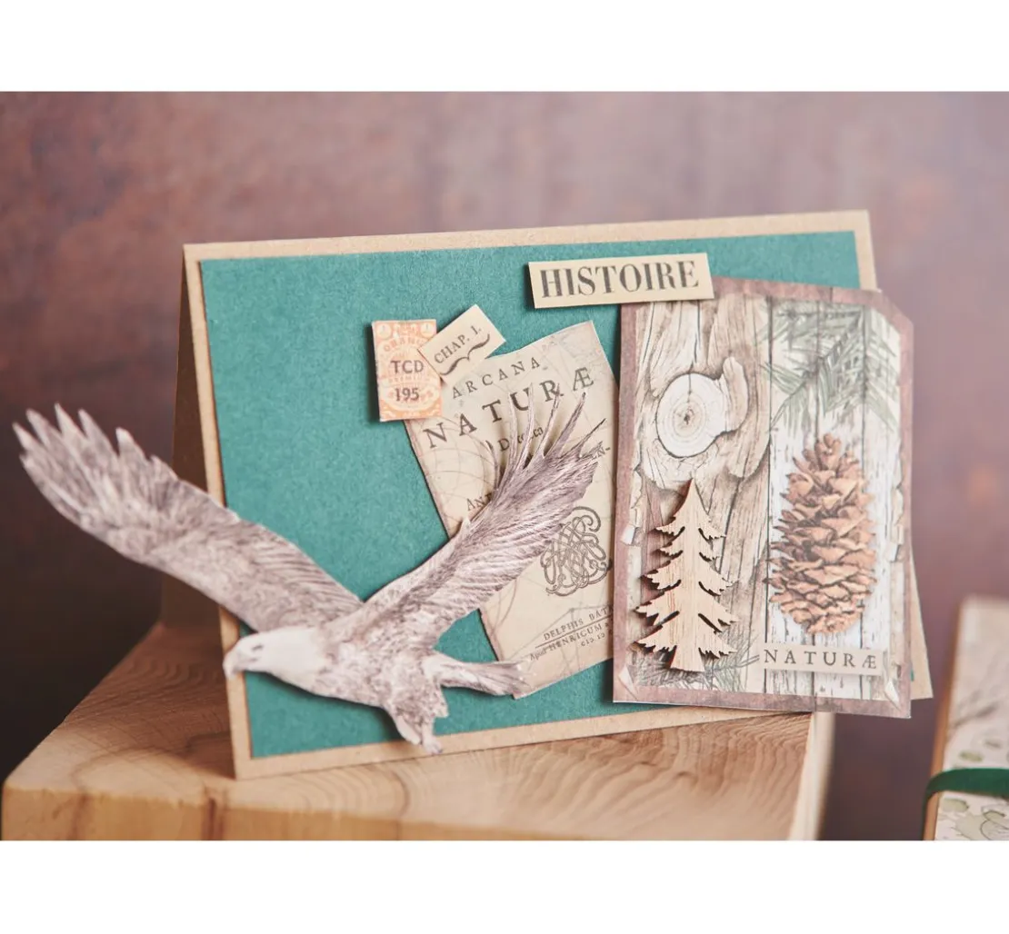 Doppelkarten mit Umschlägen "Kraftpapier", DIN A6, 50 Stück