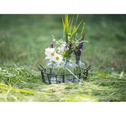 Drahtkorb mit 6 Glasflaschen