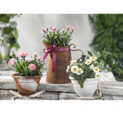 Easy rost Liquid, 50ml, rostorange