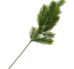 Edel Tannenzweig "Tanya"