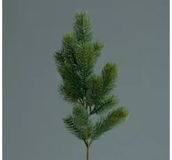 Edel Tannenzweig "Tanya"