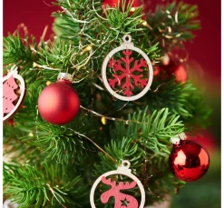 Edeltannenbaum "Rory" im Topf