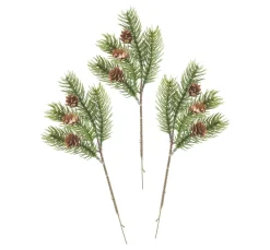 Edeltannen-Pick "Tessy" mit Zapfen