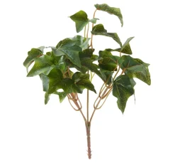 Efeubusch, 5 Stränge