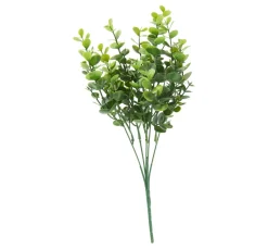 Eukalyptus Pick "Mia"