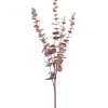 Eukalyptus Zweig "Burgundy"