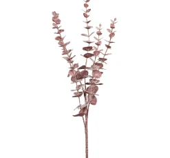 Eukalyptus Zweig "Burgundy"