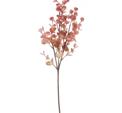 Eukalyptus Zweig "Marissa"