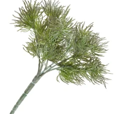 Flechten-Pick "Freddy"