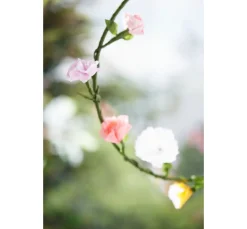 Floristenband, 25 mm