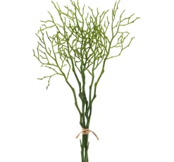 Heidelbeer Zweig, 3 Stück