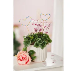 itoshii Perlen-Set "Rainbow Pastell"