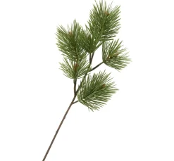Kiefernzweig "Doro"