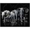 Kratzbild "Elefanten"