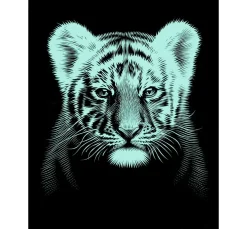 Kratzbild "Tigerbaby"