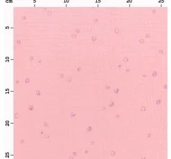 Krinkel-Musselin Baumwoll-Stoff mit Metallic-Effekt "Wild Dots-Lachsrosa"