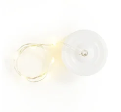 LED-Lichterkette mit Batteriedose