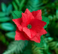 Lia Griffith, Floristenkrepp 