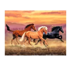 Malen nach Zahlen "Freiheit"