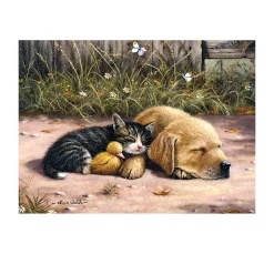 Malen nach Zahlen "Freunde"