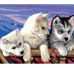 Malen nach Zahlen "Huskies"