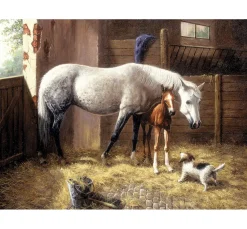 Malen nach Zahlen "New Friends"