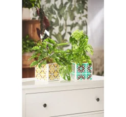 Marabu Porcelain & Glass "Painter"