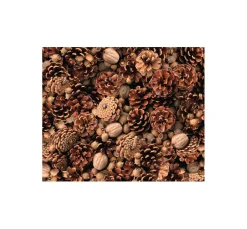 Motiv-Fotokarton "Tannenzapfen"