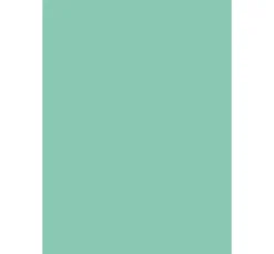 Motivkarton "Punkte Mint"